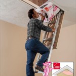 WERNER CO. ENERGY SEAL ATTIC LADDER