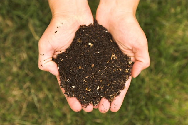 How Do I Make My Own Compost?