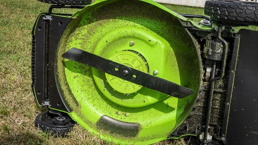Mulching Grass the Right Way for a Healthier Lawn Pro Tool Reviews