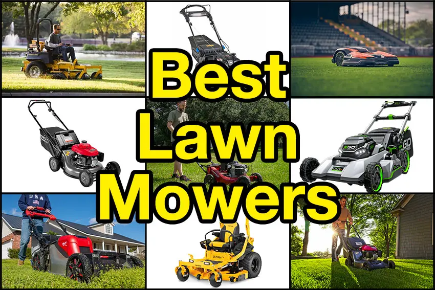 Best mower reviews outlet