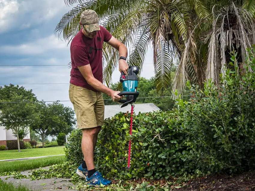 Hedge Trimmers Types Benefits and Tips for Success Pro Tool Reviews
