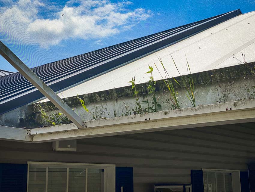 How to Clean Gutters Quickly