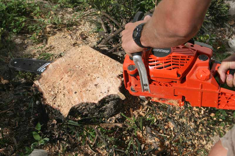 Echo CS-400 Chainsaw Review | Pro Tool Reviews