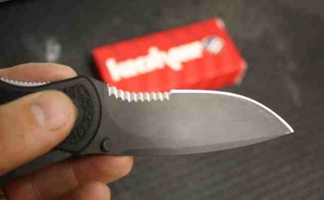 Kershaw Blur Folding Knife 1670BLKST Como edge