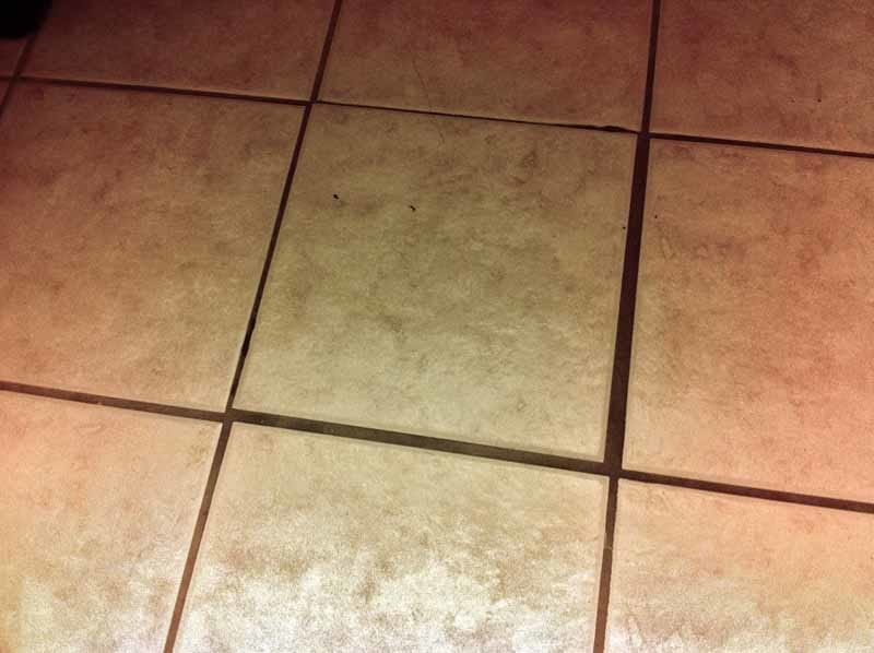 Worst floor Grouting and Caulking Jobs