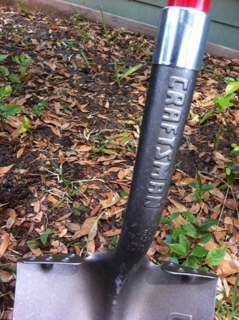 Craftsman Long Handle Digging Shovels