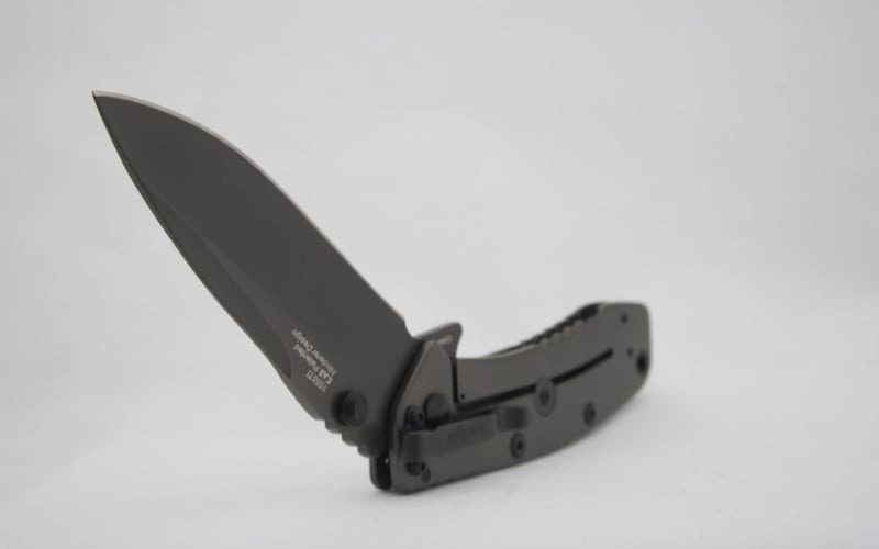 Kershaw Cryo II knife