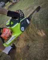 GreenWorks G-MAX cutting palm