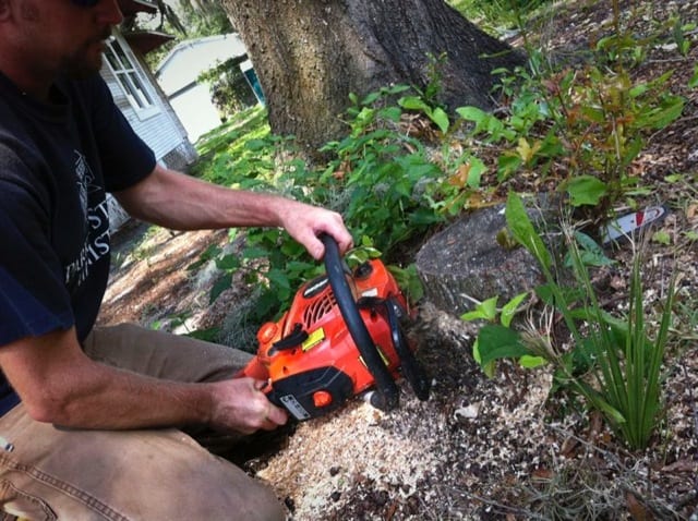 Echo Timber Wolf CS-590 Chainsaw Review | Pro Tool Reviews