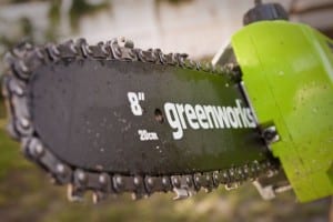 greenworks pole saw chain POV