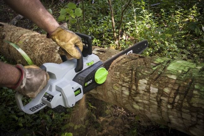 EGO chainsaw cutting palm