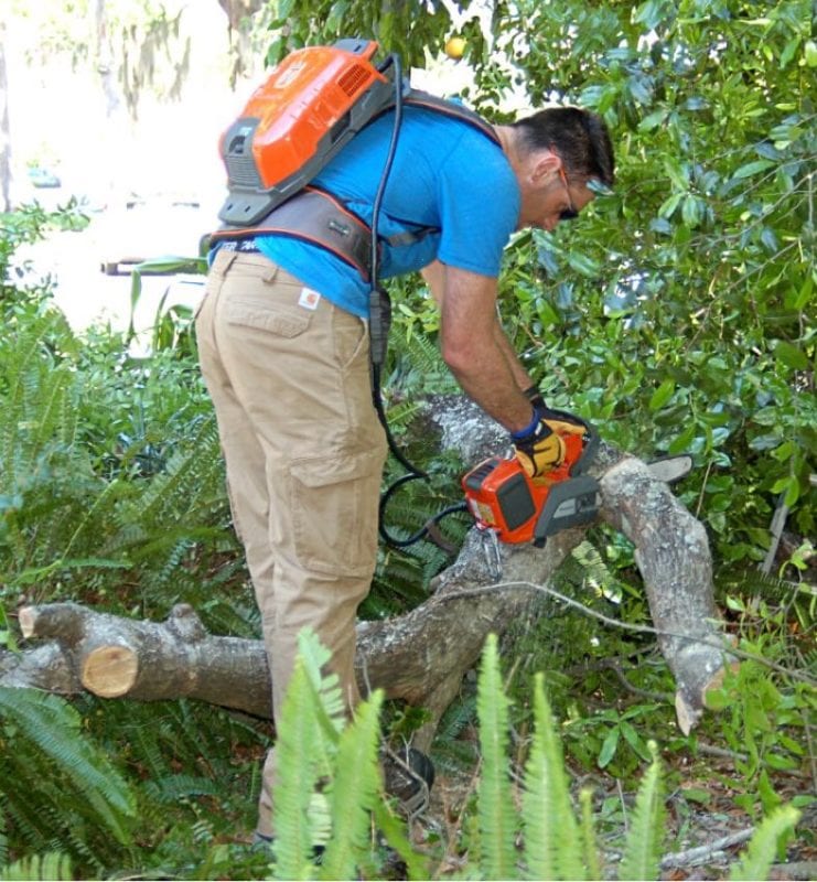 Husqvarna 36V Chainsaw In Use