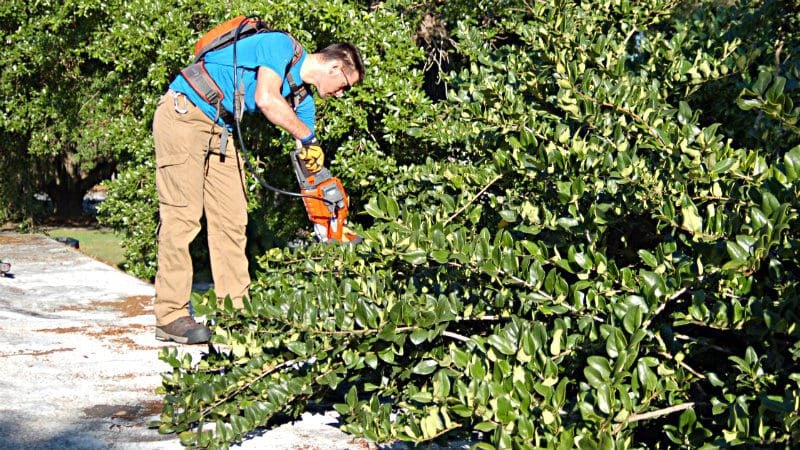 Husqvarna 36V Hedge Trimmer Cutting