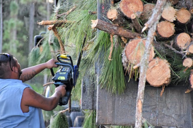 Kobalt 80V Chainsaw Trimming