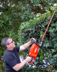 Echo 58V Hedge Trimmer In Use 2
