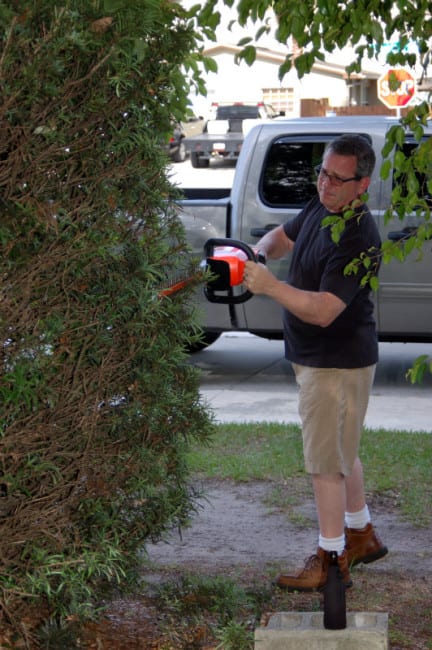 Echo 58V Hedge Trimmer In Use