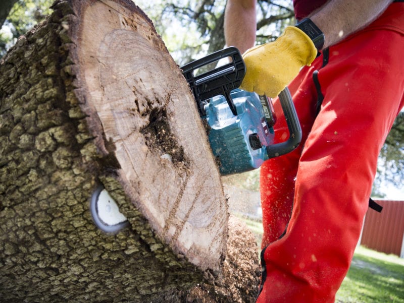 Future of Outdoor Power Equipment is Runtime Makita XCU03 chainsaw