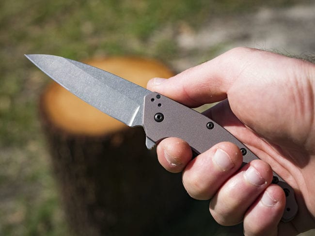 Kershaw Dividend Gray Spring Assisted Folding Knife