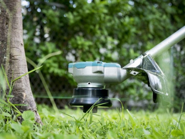 Best Battery-Powered Weedeater Roundup | Hands-On Testing