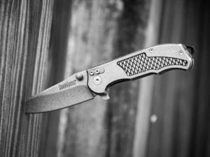 Kershaw Agile