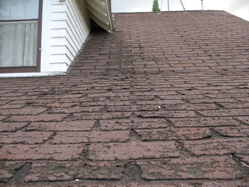 Roof Replacement and Maintenance Tips From the Pros