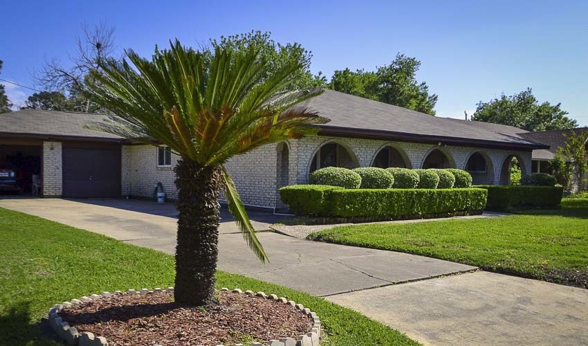 When to Fertilize Your Lawn