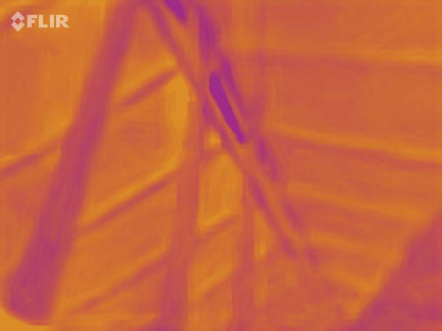 FLIR MSX Thermal Image