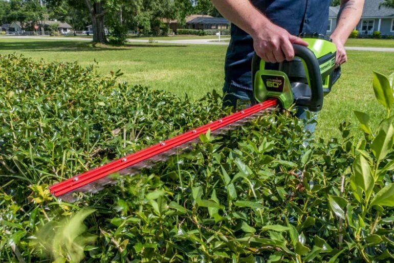 Best Battery-Powered Hedge Trimmers 2026 - PTR