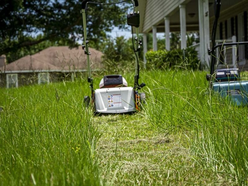 Stihl RMA 510 Battery-Powered Push Mower Review