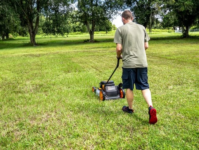 Worx 2 x 20V Battery-Powered Lawn Mower