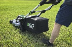 EGO 3rd generation bagging quality