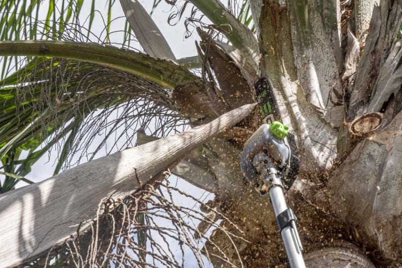 best battery-powered weedeater attachment system EGO pole saw
