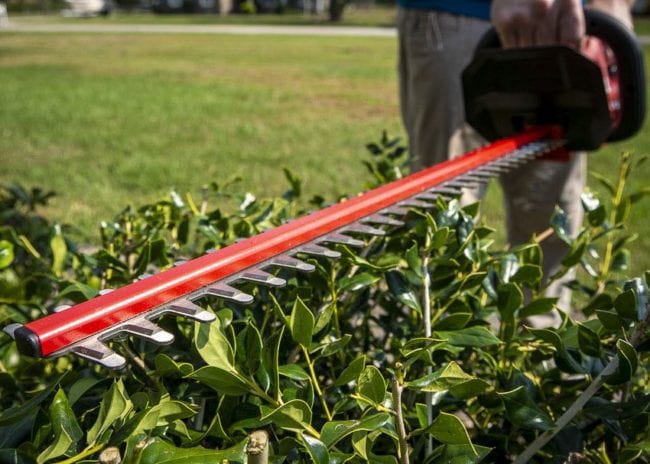 Skil 24-inch hedge trimmer