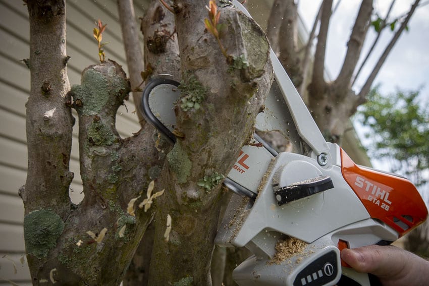 STIHL GTA 26 Battery Garden Pruner