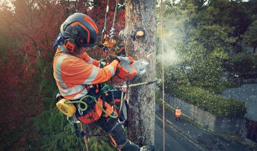 Husqvarna T540i XP 40V Battery Top-handle Chainsaw