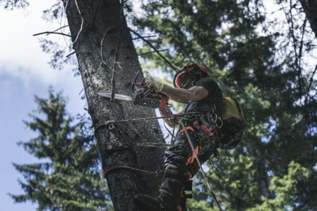 Husqvarna T540i XP top-handle chainsaw