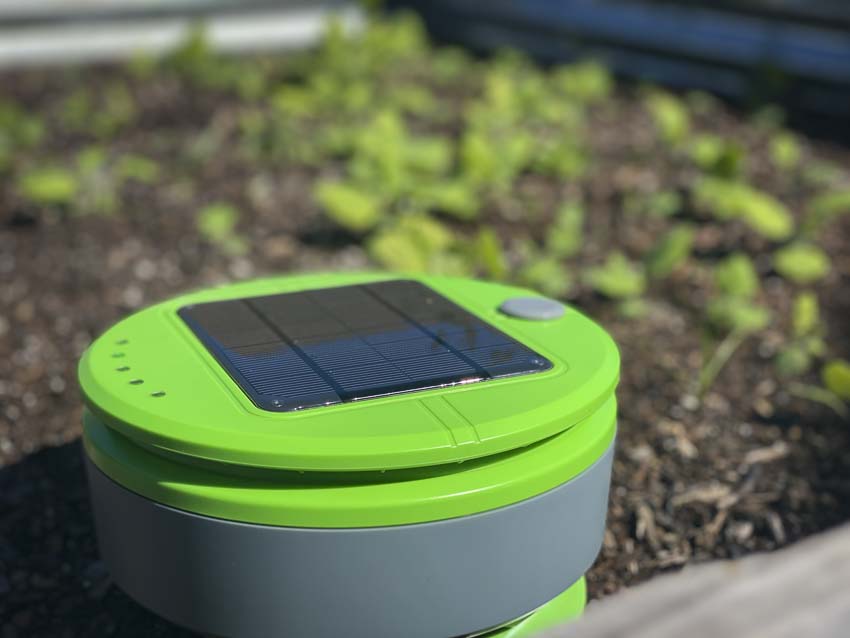 Tertill solar-powered garden weeder