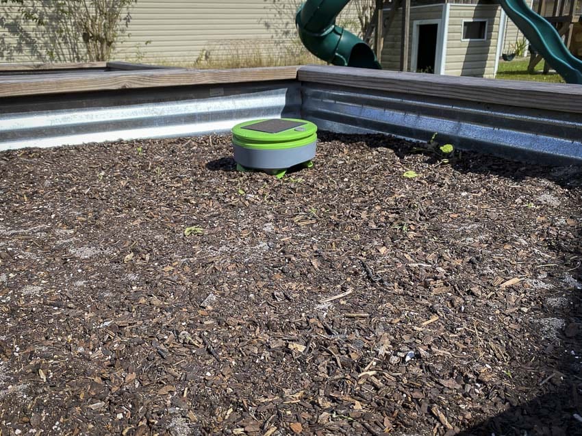 automatic weeder raised garden bed