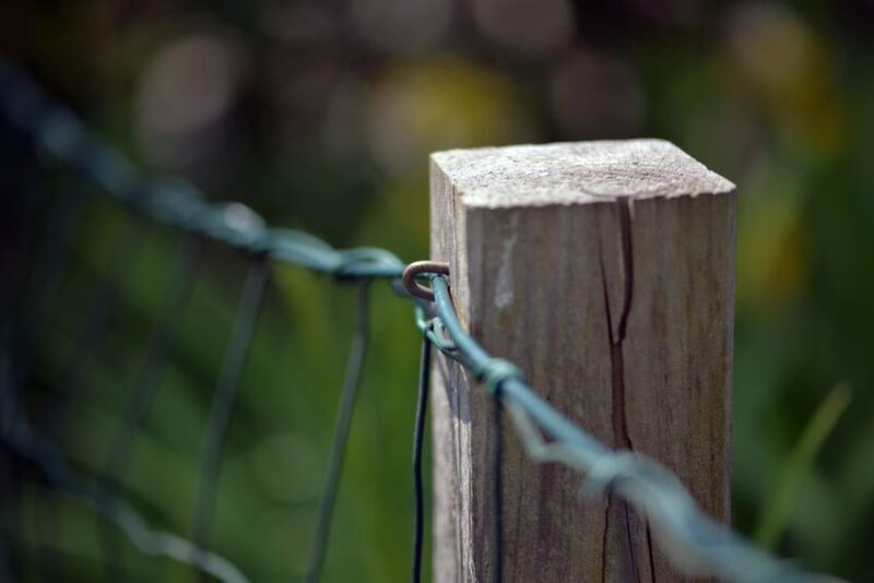pressure treated fence post