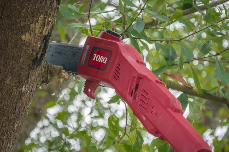 Toro 60V Cordless 10-Inch Pole Saw Cutting