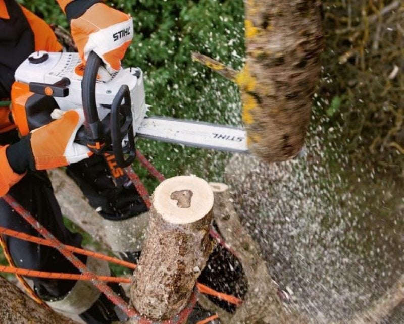 best Stihl top handle chainsaw MS201 TC-M