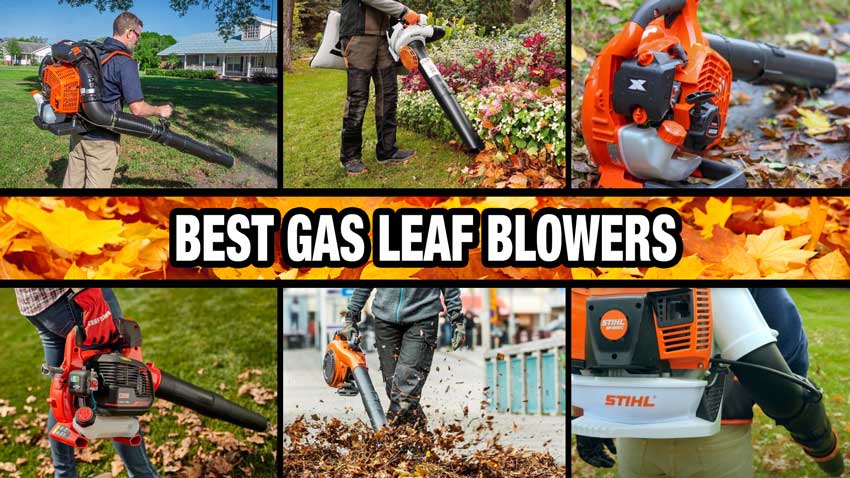 best gas leaf blower reviews
