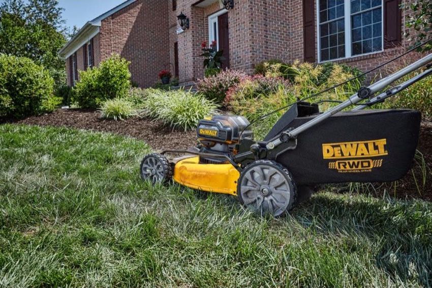 DeWalt DCMWSP255 21-in self-propelled lawn mower