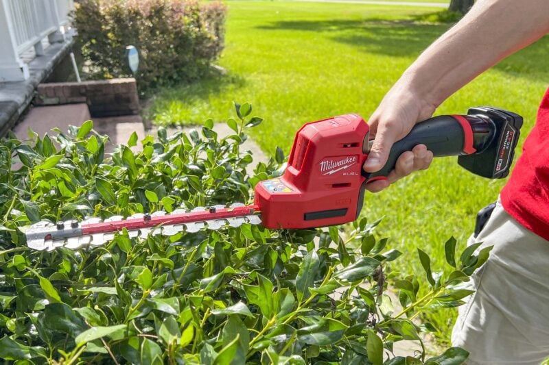 Sind Great Barrier Reef henvise Milwaukee M12 Fuel 8-Inch Compact Hedge Trimmer 2533-21 - PTR