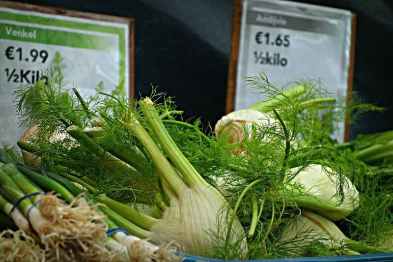 Fennel