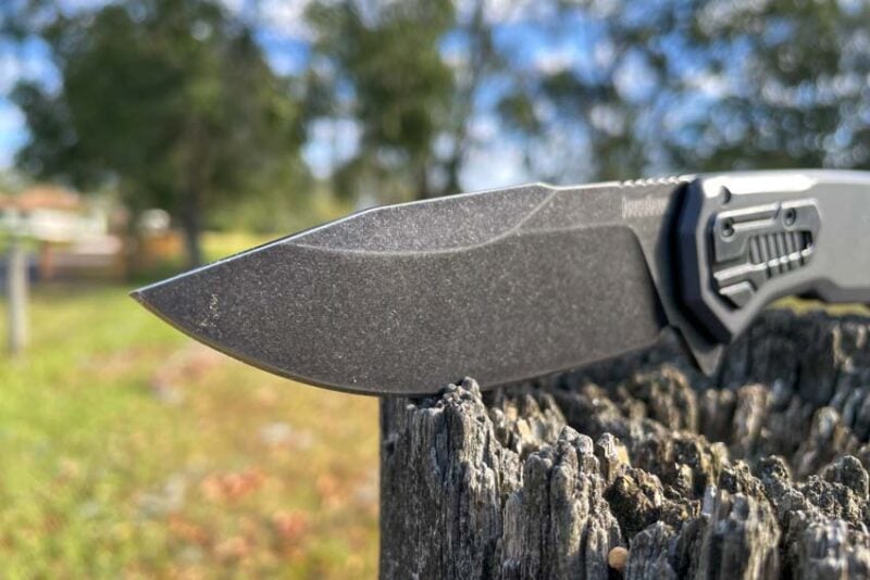 D2 Drop Point Blade