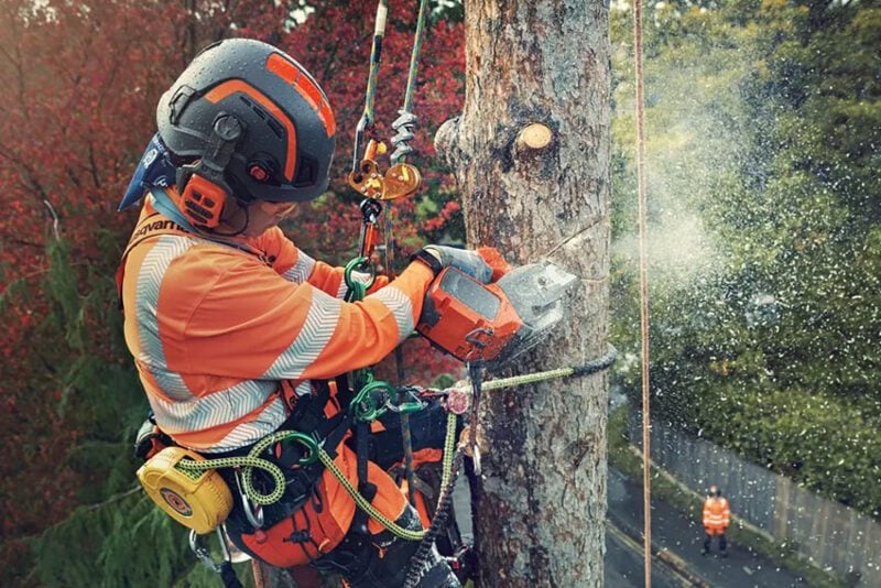 Top 10 Best Electric Cordless Chainsaws 