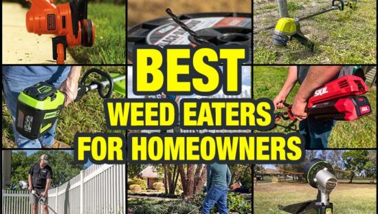 Best Weed Eater Reviews