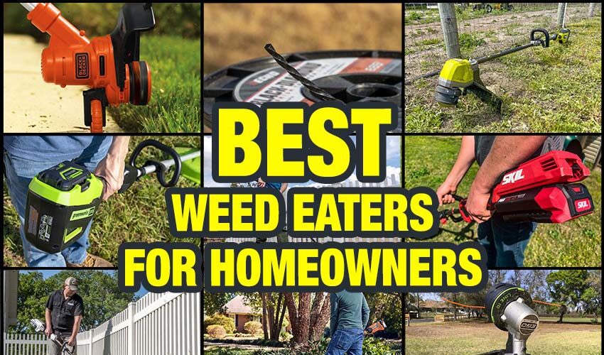 Best Weed Eater Reviews