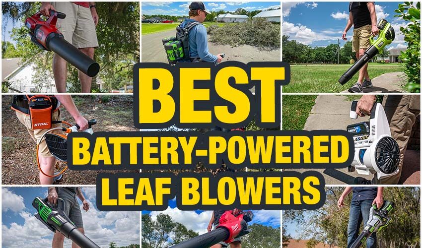 Best Cordless Leaf Blower Reviews